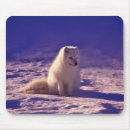 Suche nach fuchs mousepads Schnee