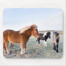Suche nach isländisches pferd mousepads Wildpferd
