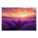Recherche de la provence posters Fleurs