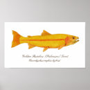 Recherche de pêche à la mouche posters Saumon