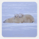 Recherche de la température autocollants Nature