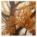 Suche nach goldener herbst fliesen Blätter