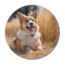 Recherche de chien planches à découper Animal