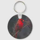 Suche nach kardinal schlüsselanhänger Foto