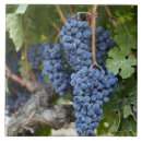 Suche nach zeichnungen fliesen Dekor