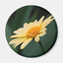 Suche nach herrlich magnete Botanisch