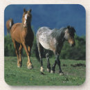 Recherche de mustang dessous de verres Équestre