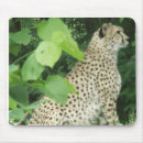 Suche nach geparden mousepads Tiere