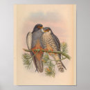 Recherche de copies vintages art Illustration