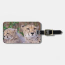 Suche nach südafrika gepäckanhänger Tier