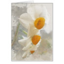 Recherche de narcissique Fleurs