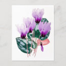 Suche nach persisch postkarten Blume