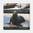 Recherche de otarie magnets Phoque