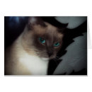 Suche nach lustige miezekatze postkarten Tier