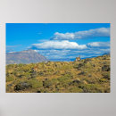 Suche nach patagonia poster Berg