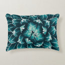 Recherche de agave coussins Botanique