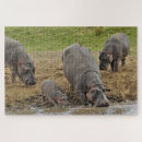 Suche nach hippopotamus puzzle Tansania