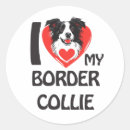 Suche nach herdenhund aufkleber Border collie