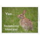 Suche nach weißes häschen postkarten Liebe