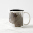 Recherche de canards tasses Jaune