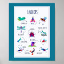 Recherche de insectes de jardin posters Pour enfants