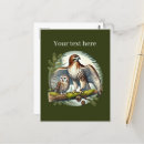 Recherche de petit hibou cartes postales Mignon