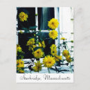 Recherche de fleurs antiques cartes postales Vieux