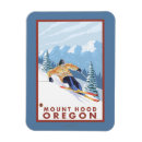 Recherche de skieur magnets Lanterne
