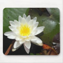 Suche nach wasserlilie mousepads Pflanze