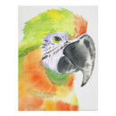 Recherche de perroquets posters Peinture