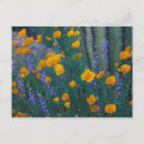 Suche nach orgelpfeifen postkarten Natur