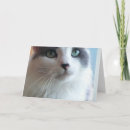 Suche nach lustige traurige karten Für sie