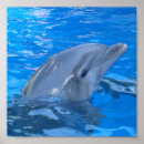 Recherche de underwater posters Nautical