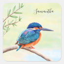 Suche nach kingfisher aufkleber Natur