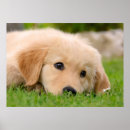 Recherche de grands yeux posters Pour enfants