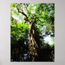 Recherche de arbre posters Paysages