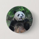 Recherche de chinees buttons Panda