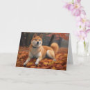 Suche nach shiba karten Haustier