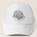 Recherche de tortue de de casquettes Reptile