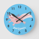 Recherche de salamandres horloges Animal