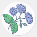 Recherche de hortensias autocollants Fleurs bleues