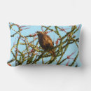 Recherche de buse coussins Nature