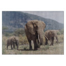 Recherche de éléphants planches à découper Animal