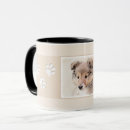 Recherche de chiens berger shetland tasses Chiot