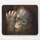 Recherche de orang outan tapis souris Animal