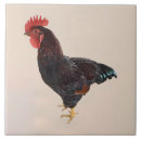 Recherche de rhode carreaux Coq
