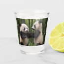 Recherche de panda de bar Pandas