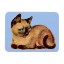 Recherche de siamois magnets De chat siamois
