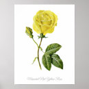 Suche nach vintage botanische poster Minimalistisch