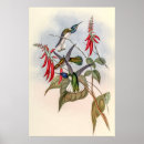 Recherche de oiseaux vintages art Pour lui
